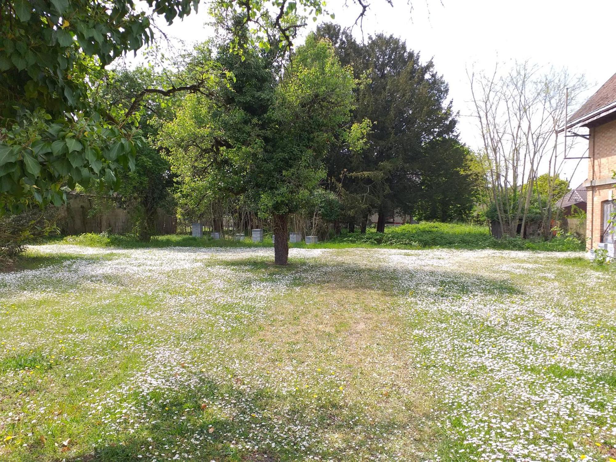 Charmante Maison Vitry-le-François Exteriör bild